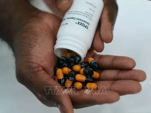 Mỹ phát hiện nhóm các ca mắc bệnh đậu mùa khỉ kháng thuốc