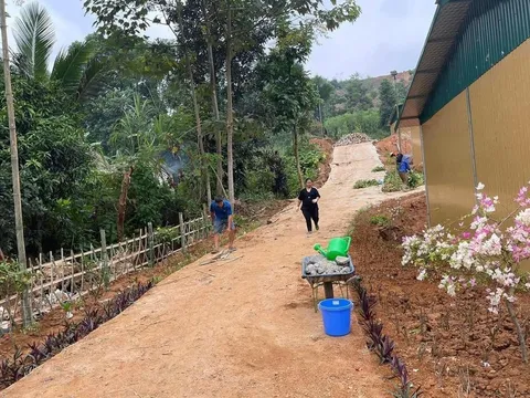 Hoa đã nở tại Làng Nủ