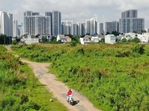 Đất nông nghiệp không sử dụng có bị Nhà nước thu hồi?