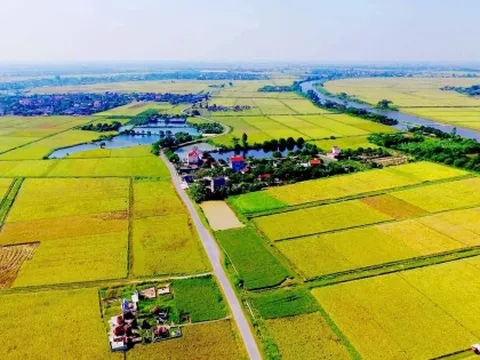 Hướng dẫn về tiền sử dụng đất khi chuyển mục đích sử dụng đất từ đất nông nghiệp sang phi nông nghiệp