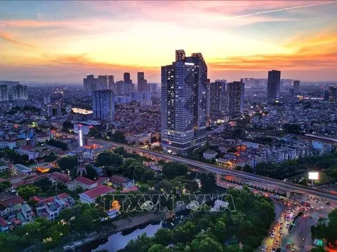 Sắp xếp đơn vị hành chính của 12 tỉnh, thành phố trực thuộc Trung ương