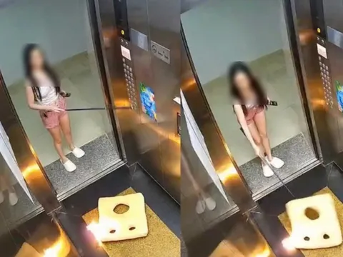 Nguyên nhân bất ngờ sau vụ việc đốt lửa trong thang máy gây xôn xao