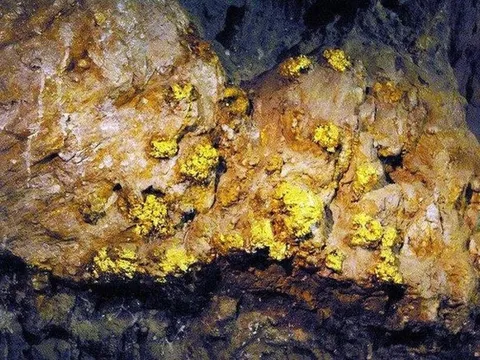 Một quốc gia vừa phát hiện mỏ vàng khổng lồ, trọng lượng hơn 1000 tấn