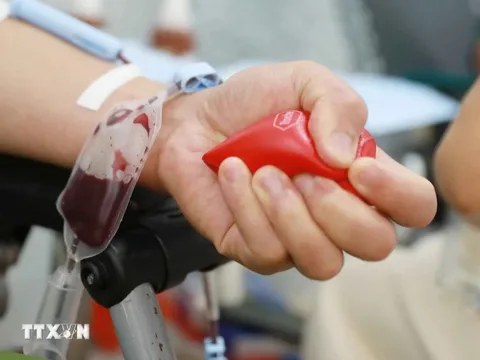 Cần 80.000 đơn vị máu dự trữ cho cuối năm và Tết Nguyên đán 2025