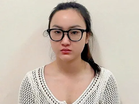 Bắt cô gái 26 tuổi lừa đảo chiếm đoạt gần 20 tỷ đồng ở Đồng Nai