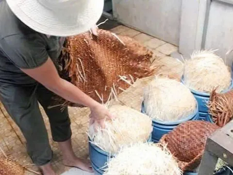 Bách Hóa Xanh nói gì khi tiêu thụ gần 400kg/ngày giá đỗ ngâm hoá chất có thể gây chết người?