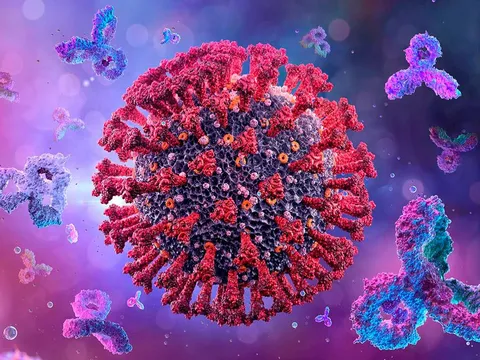 Thứ trưởng Bộ Y tế nói về virus HMPV đang lây lan tại Trung Quốc