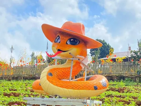 Linh vật rắn được mong đợi nhất gọi tên Quảng Trị: Không làm người hâm mộ thất vọng!