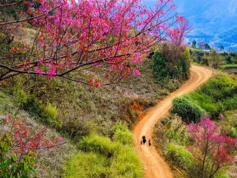 Dự báo thời tiết ngày 20/1/2025: Bắc Bộ trời rét ngày đầu tuần
