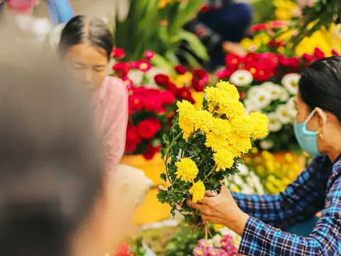 Sắc hoa rực rỡ ngày giáp Tết