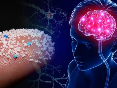 Báo động rác nhựa xâm nhập não người