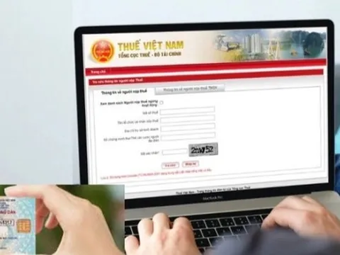 Sử dụng số định danh cá nhân thay cho mã số thuế từ 01/7/2025 thế nào?