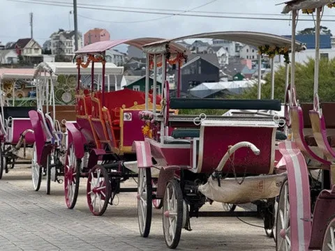 Đà Lạt cấm hoạt động xe ngựa chở khách quanh hồ Xuân Hương