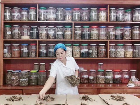 Y sĩ YHCT Nguyễn Thị Hoa - người nắm trong tay bài thuốc cổ truyền chữa khỏi đau nhức xương khớp