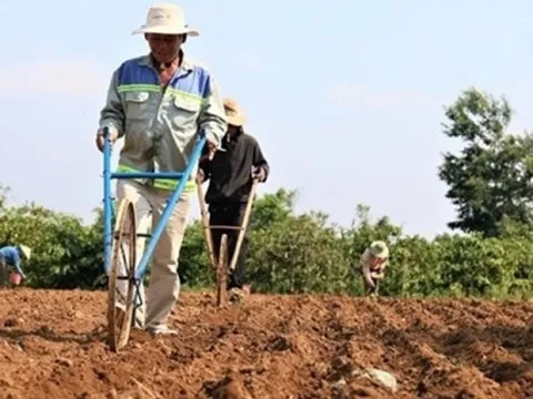Trường hợp không phải gia hạn khi hết thời hạn sử dụng đất