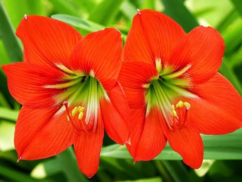 Dự báo thời tiết ngày 31/3/2025: Hà Nội sáng sớm có mưa nhỏ, trời rét