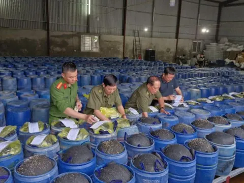 Lại phát hiện 3.500 tấn giá đỗ ngâm 'nước kẹo' đã tuồn ra thị trường