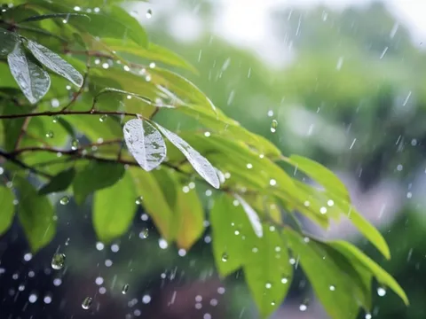 Dự báo thời tiết ngày 25/4/2025: Bắc Bộ sáng sớm có mưa rào và dông rải rác