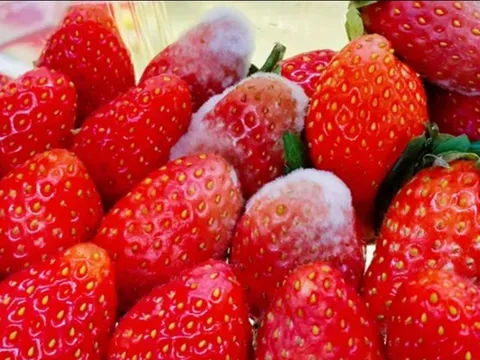 Chuyên gia Mỹ cảnh báo 3 loại thực phẩm làm tăng nguy cơ ung thư, bỏ ngay đừng tiếc