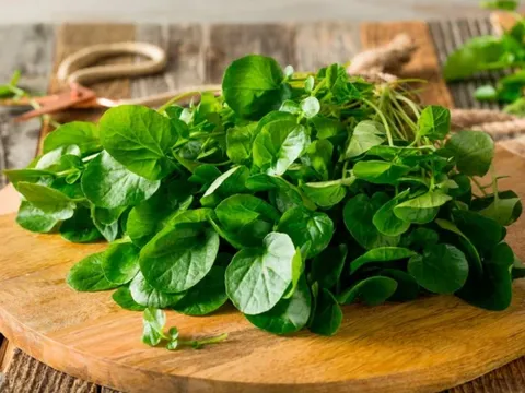 Loại rau Việt Nam được đánh giá tốt nhất thế giới về chống bệnh K, chợ bán chỉ 10 nghìn đồng/bó