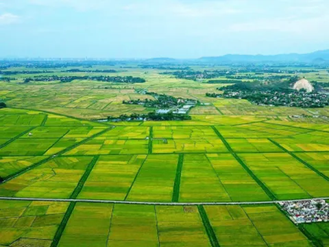 Đề nghị bổ sung quy định cho phép UBND cấp xã được khai thác, cho thuê ngắn hạn quỹ đất đang quản lý