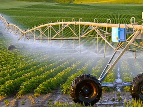 Bộ Chính trị: Đến 2030, Việt Nam có một số doanh nghiệp nông nghiệp mạnh dẫn đầu khu vực, thế giới