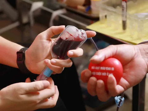 Cả nước tiếp nhận gần 1,7 triệu đơn vị máu từ những người hiến tình nguyện