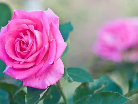 Dự báo thời tiết ngày 7/7/2025: Mưa rào và dông rải rác