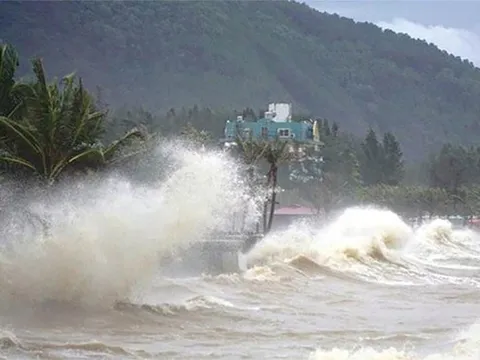 Dự báo bất ngờ về khả năng xuất hiện bão số 16 trên Biển Đông