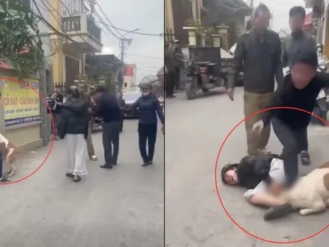 Xôn xao vụ xua chó ra tấn công hàng xóm khi đôi bên xảy ra mâu thuẫn