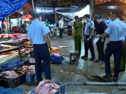 Hà Nội: Lật tẩy đường dây tuồn lợn chết ra thị trường