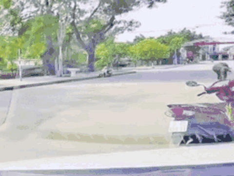 Clip: Trâu điên húc gãy xương sườn người phụ nữ ở Thanh Hoá