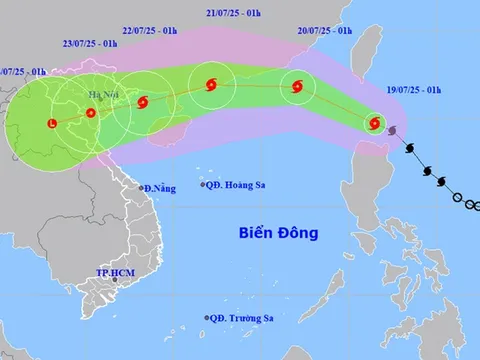 Địa phương nào chịu ảnh hưởng bởi bão số 3 Wipha?