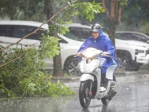 Bão số 3 đã tiến sát đất liền, sắp đổ bộ Hưng Yên - Ninh Bình