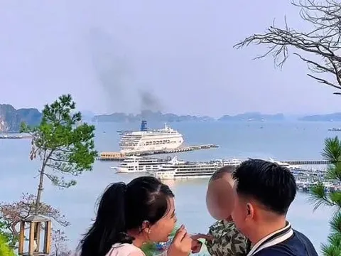 Một gia đình thoát nạn vụ lật tàu Vịnh Xanh 58 ở Hạ Long do ngủ quên