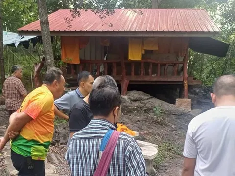 Nhà sư 75 tuổi bị hàng trăm con ong bắp cày đốt tử vong