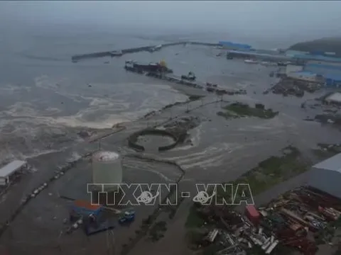 WMO kêu gọi đẩy mạnh hệ thống cảnh báo sớm nguy cơ động đất và sóng thần