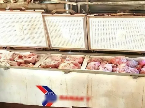 Phát hiện gần 1 tấn thịt heo nhiễm bệnh được cấp đông tại một hộ dân ở Nghệ An