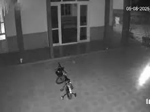 Clip: Nghe camera báo động, chủ nhà kiểm tra liền 'đứng tim' với cảnh trước mắt