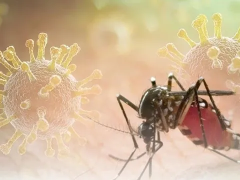 Bộ Y tế khuyến cáo khẩn các biện pháp phòng, chống bệnh Chikungunya