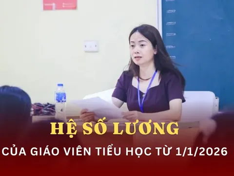 Từ 1/1/2026: Thêm hệ số lương đặc thù, giáo viên tiểu học hưởng lợi lớn