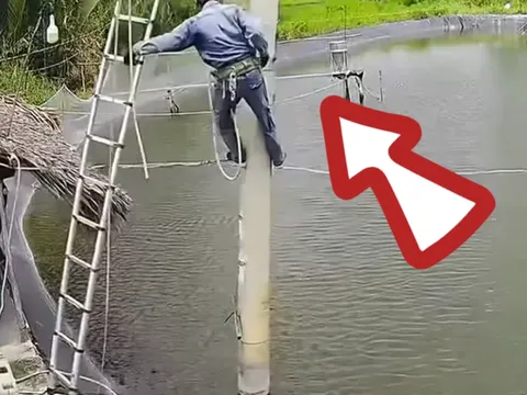Cột điện bất ngờ đổ, hành động nhanh nhạy của thợ điện khiến ai cũng thót tim