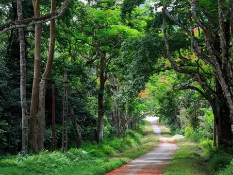 Tìm thấy thi thể nam du khách mất tích trong rừng Cúc Phương