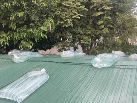 Trèo lên mái tôn chống bão số 5, chồng bị điện giật tử vong, vợ và con bị thương