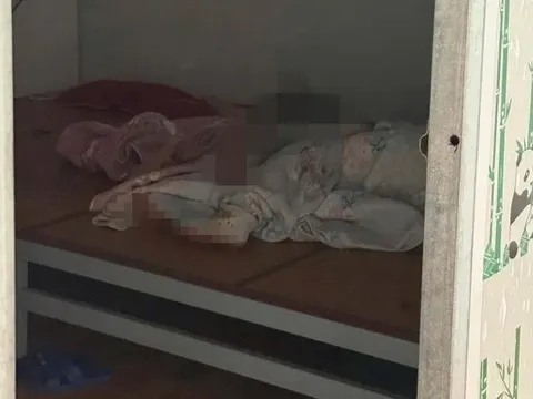 Công an Hưng Yên khởi tố vụ án bà nội sát hại 2 cháu trai