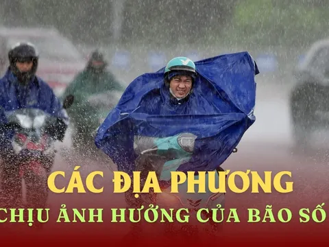 Những địa phương chịu ảnh hưởng mạnh nhất của bão số 7