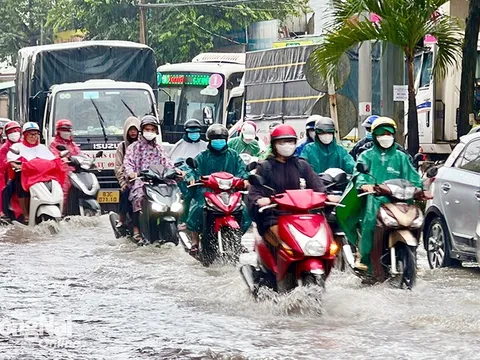 Chủ động ứng phó siêu bão RAGASA, bảo đảm an toàn cho người và phương tiện tham gia giao thông