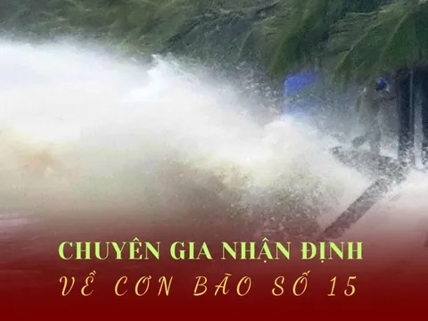Chuyên gia nhận định gì về cơn bão số 15 có thể gây mưa lớn Nam Trung Bộ?