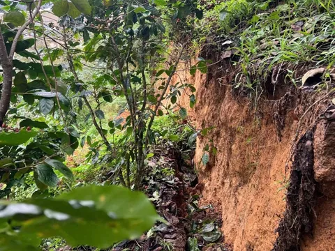 Xuất hiện vết nứt dài 100m ở Lâm Đồng, có nguy cơ sạt lở