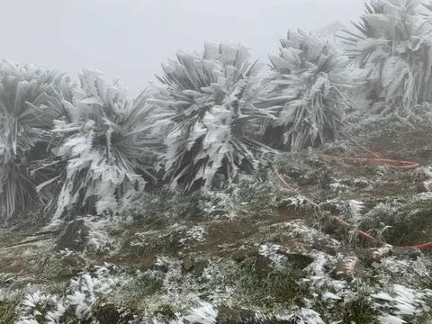 Không khí lạnh tăng cường, Bắc Bộ – Trung Bộ rét sâu, biển động mạnh